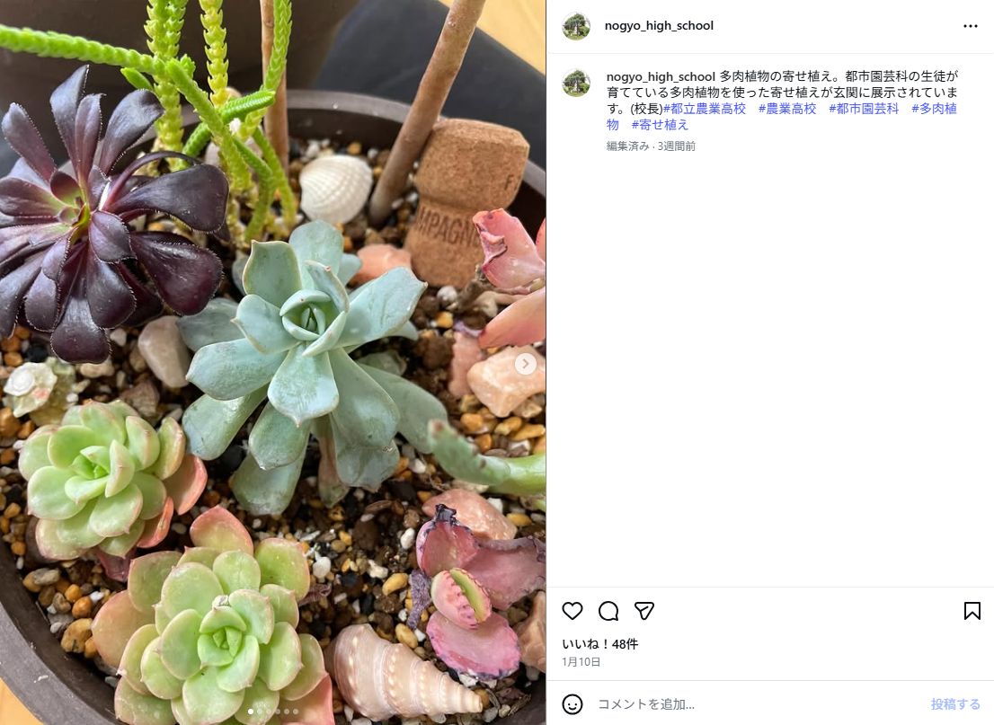 スクリーンショット 2026-02-03 140611